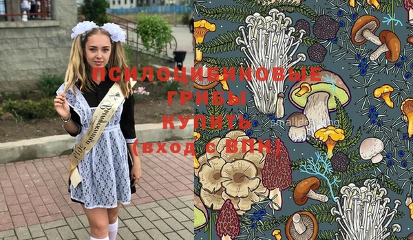не бодяженный Арсеньев