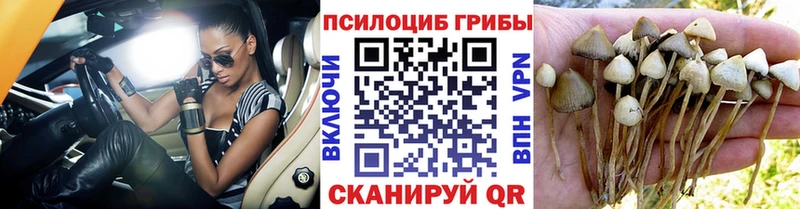 Псилоцибиновые грибы MAGIC MUSHROOMS Инта
